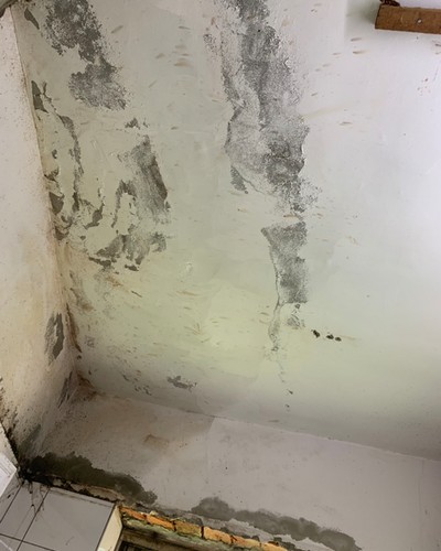 桃園塑膠天花板施工, 桃園PVC塑膠天花板施工, 桃園老屋改造, 桃園廁所天花板, 桃園塑膠天花板一坪多少錢？, 桃園浴室天花板裝修, 
									桃園PVC天花板, 桃園浴室天花板, 桃園防水, 桃園衛浴廁所防水, 桃園房屋漏水, 桃園牆壁漏水, 桃園外牆防水, 桃園屋頂防水, 桃園天花板漏水防水