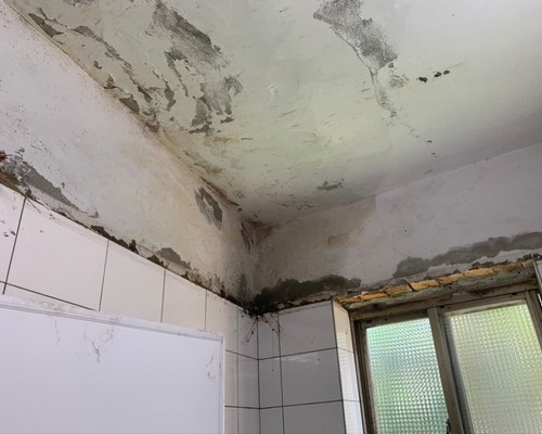 桃園塑膠天花板施工, 桃園PVC塑膠天花板施工, 桃園老屋改造, 桃園廁所天花板, 桃園塑膠天花板一坪多少錢？, 桃園浴室天花板裝修, 
									桃園PVC天花板, 桃園浴室天花板, 桃園防水, 桃園衛浴廁所防水, 桃園房屋漏水, 桃園牆壁漏水, 桃園外牆防水, 桃園屋頂防水, 桃園天花板漏水防水