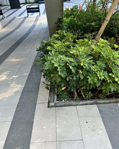 桃園龜山土水師傅推薦, 桃園龜山抿石子工程, 桃園龜山泥作工程